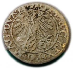 Obrazek 2 dla: Półgrosz 1560 Zygmunt II August Wilno