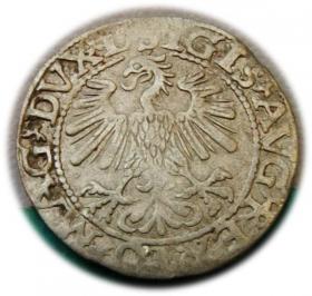 Obrazek 2 dla: Półgrosz 1560 Zygmunt II August Wilno