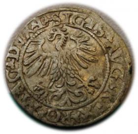 Obrazek 2 dla: Półgrosz 1560 Zygmunt II August Wilno