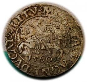 Obrazek dla: Półgrosz 1560 Zygmunt II August Wilno