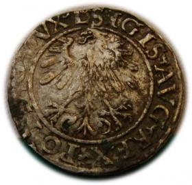 Obrazek 2 dla: Półgrosz 1560 Zygmunt II August Wilno