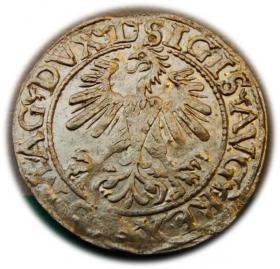 Obrazek 2 dla: Półgrosz 1560 Zygmunt II August Wilno