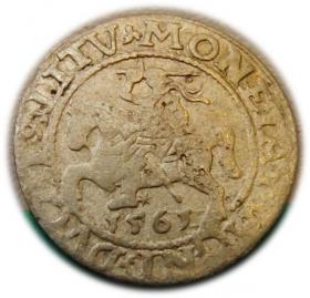 Obrazek dla: Półgrosz 1561 Zygmunt II August Wilno