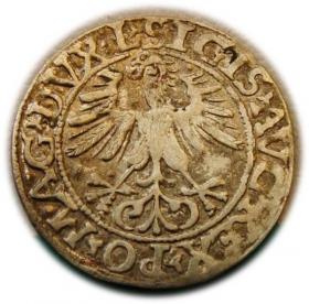 Obrazek 2 dla: Półgrosz 1561 Zygmunt II August Wilno