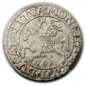 Obrazek dla: Półgrosz 1561 Zygmunt II August Wilno