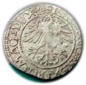 Obrazek 2 dla: Półgrosz 1561 Zygmunt II August Wilno