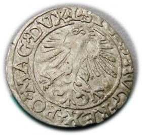 Obrazek 2 dla: Półgrosz 1561 Zygmunt II August Wilno