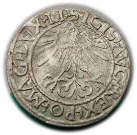 Obrazek 2 dla: Półgrosz 1561 Zygmunt II August Wilno