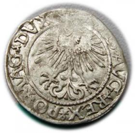 Obrazek 2 dla: Półgrosz 1561 Zygmunt II August Wilno