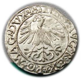 Obrazek 2 dla: Półgrosz 1561 Zygmunt II August Wilno