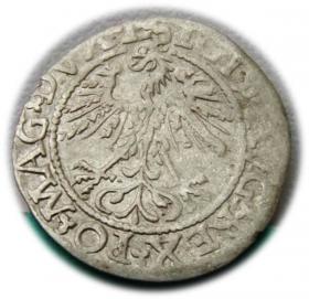 Obrazek 2 dla: Półgrosz 1562 Zygmunt II August Wilno