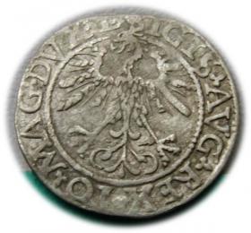 Obrazek 2 dla: Półgrosz 1562 Zygmunt II August Wilno