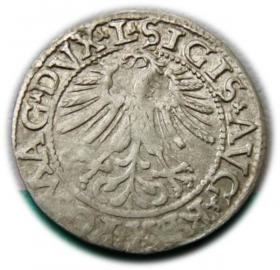 Obrazek 2 dla: Półgrosz 1562 Zygmunt II August Wilno