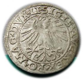 Obrazek 2 dla: Półgrosz 1563 Zygmunt II August Wilno