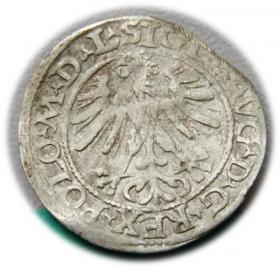 Obrazek 2 dla: Półgrosz 1563 Zygmunt II August Wilno