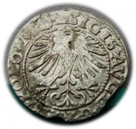 Obrazek 2 dla: Półgrosz 1563 Zygmunt II August Wilno