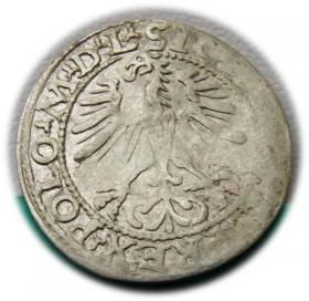 Obrazek 2 dla: Półgrosz 1564 Zygmunt II August Wilno