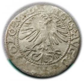 Obrazek 2 dla: Półgrosz 1564 Zygmunt II August Wilno