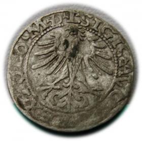 Obrazek 2 dla: Półgrosz 1564 Zygmunt II August Wilno