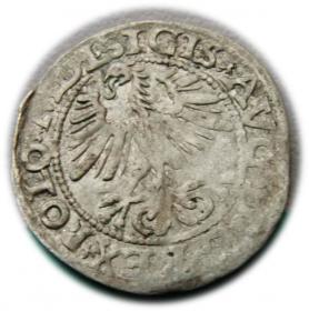 Obrazek 2 dla: Półgrosz 1564 Zygmunt II August Wilno