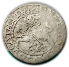 Obrazek dla: Półgrosz 1565 Zygmunt II August Wilno