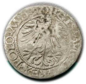 Obrazek 2 dla: Półgrosz 1565 Zygmunt II August Wilno