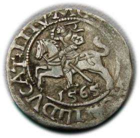 Obrazek dla: Półgrosz 1565 Zygmunt II August Wilno