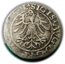 Obrazek 2 dla: Półgrosz 1565 Zygmunt II August Wilno