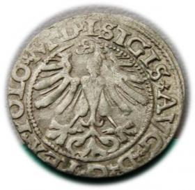 Obrazek 2 dla: Półgrosz 1565 Zygmunt II August Wilno