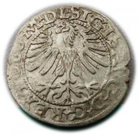 Obrazek 2 dla: Półgrosz 1565 Zygmunt II August Wilno