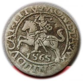 Obrazek dla: Półgrosz 1565 Zygmunt II August Wilno