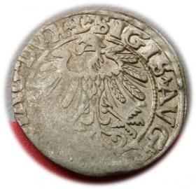 Obrazek 2 dla: Półgrosz 1557 Zygmunt II August Wilno