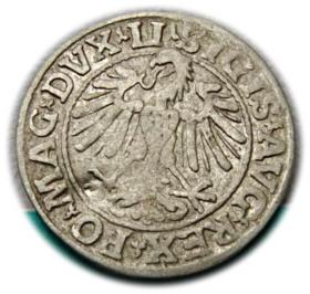 Obrazek 2 dla: Półgrosz 1547 Zygmunt II August Wilno