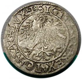 Obrazek 2 dla: Półgrosz 1562 Zygmunt II August Wilno