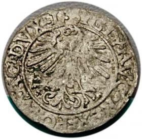 Obrazek 2 dla: Półgrosz 1562 Zygmunt II August Wilno