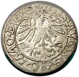 Obrazek 2 dla: Półgrosz 1562 Zygmunt II August Wilno