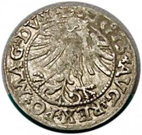 Obrazek 2 dla: Półgrosz 1563 Zygmunt II August Wilno