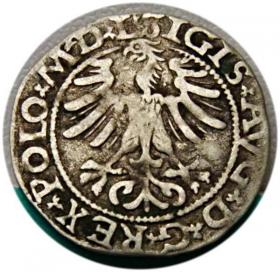Obrazek 2 dla: Półgrosz 1565 Zygmunt II August Wilno