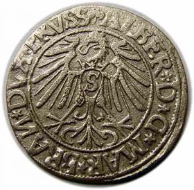 Obrazek 2 dla: Grosz 1544 Albrecht Hohenzollern Księstwo Pruskie Królewiec
