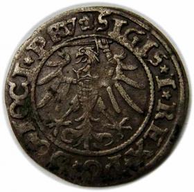 Obrazek 2 dla: Grosz 1535 Zygmunt I Stary Elbląg 