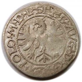 Obrazek 2 dla: Półgrosz 1566 Zygmunt II August Litwa Tykocin