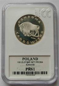 Obrazek dla: 100 złotych 1977 Żubr próba grading