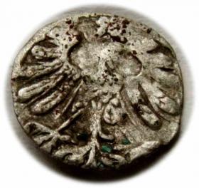 Obrazek 2 dla: Denar 1558 Zygmunt II August Wilno