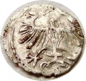 Obrazek 2 dla: Denar 1556 Zygmunt II August Wilno