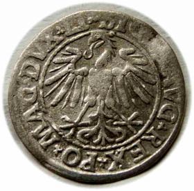 Obrazek 2 dla: Półgrosz 1547 Zygmunt II August Wilno