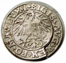 Obrazek 2 dla: Półgrosz 1549 Zygmunt II August Wilno