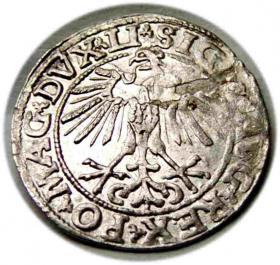 Obrazek 2 dla: Półgrosz 1551 Zygmunt II August Wilno