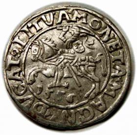 Obrazek dla: Półgrosz 1556 Zygmunt II August Wilno