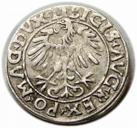 Obrazek 2 dla: Półgrosz 1556 Zygmunt II August Wilno