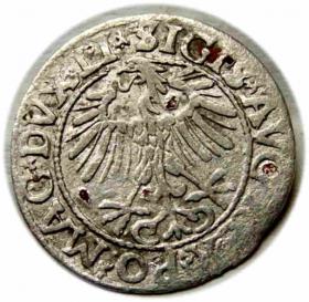 Obrazek 2 dla: Półgrosz 1557 Zygmunt II August Wilno